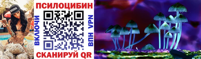 Псилоцибиновые грибы ЛСД  hydra ONION  Динская 